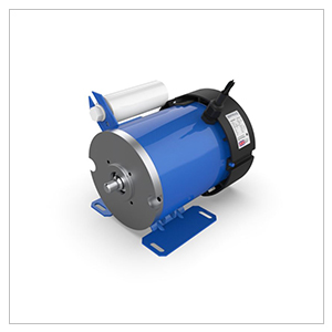 Parvalux AC Motor