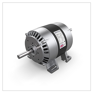 Parvalux AC Motor