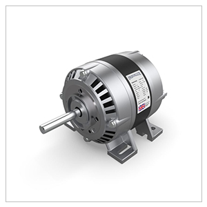 Parvalux AC Motor