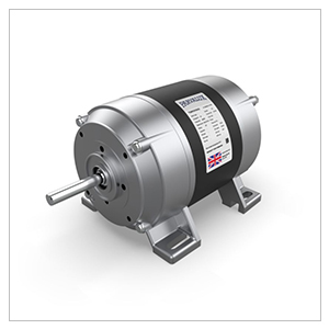 Parvalux AC Motor