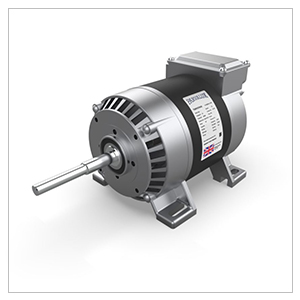 Parvalux AC Motor