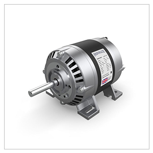 Parvalux AC Motor