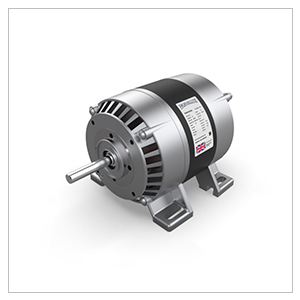 Parvalux AC Motor