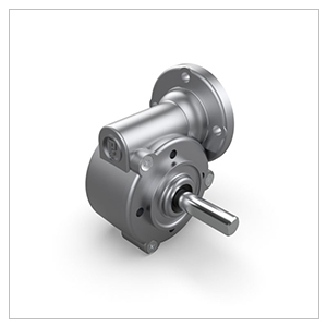 Parvalux Gearboxes Reduktor Motor