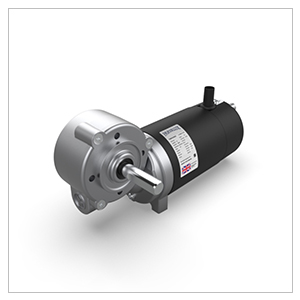 Parvalux Geared-Motor-Reduktorlu-Motor