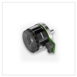 Maxon Motor Ec-flat Serisi